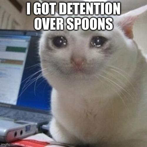 Crying cat | I GOT DETENTION OVER SPOONS | image tagged in crying cat | made w/ Imgflip meme maker