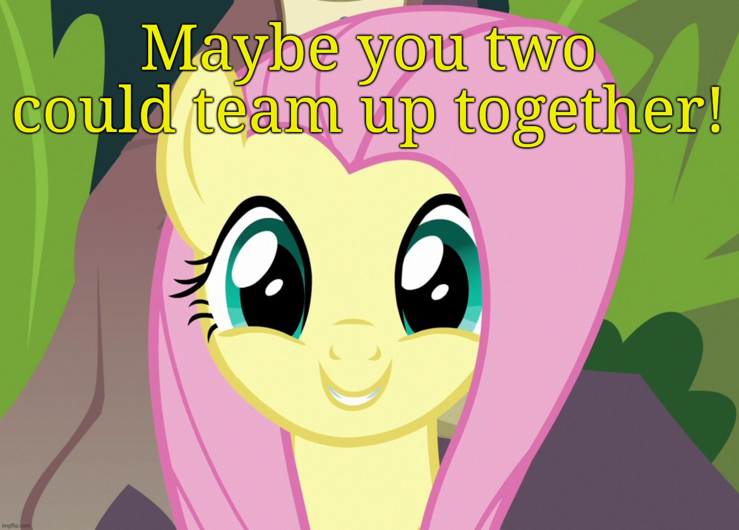 Shyabetes 2 (MLP) | Maybe you two could team up together! | image tagged in shyabetes 2 mlp | made w/ Imgflip meme maker