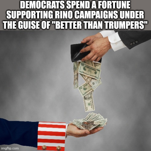 DEMOCRATS SPEND A FORTUNE SUPPORTING RINO CAMPAIGNS UNDER THE GUISE OF "BETTER THAN TRUMPERS" | image tagged in funny memes | made w/ Imgflip meme maker