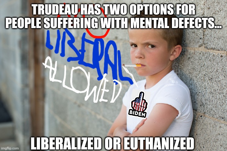 TRUDEAU HAS TWO OPTIONS FOR PEOPLE SUFFERING WITH MENTAL DEFECTS... LIBERALIZED OR EUTHANIZED | made w/ Imgflip meme maker