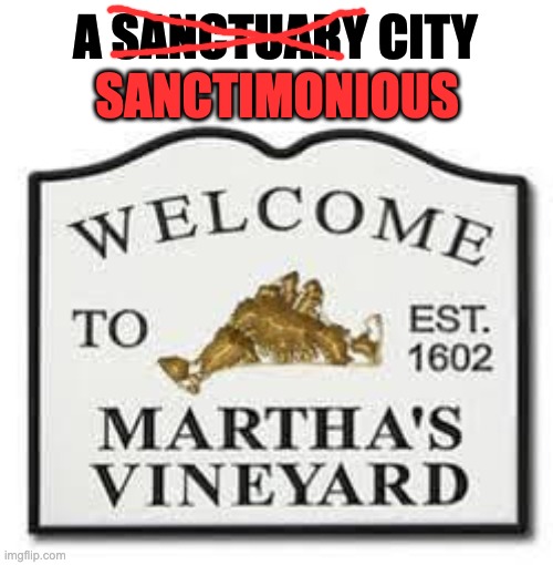Sanctimony at its best! | A SANCTUARY CITY; SANCTIMONIOUS | image tagged in sanctuary cities | made w/ Imgflip meme maker