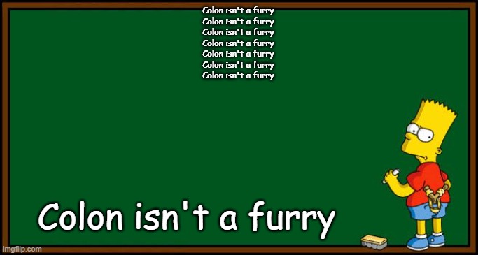 Bart Simpson - chalkboard | Colon isn't a furry
Colon isn't a furry
Colon isn't a furry
Colon isn't a furry
Colon isn't a furry
Colon isn't a furry
Colon isn't a furry; Colon isn't a furry | image tagged in bart simpson - chalkboard | made w/ Imgflip meme maker