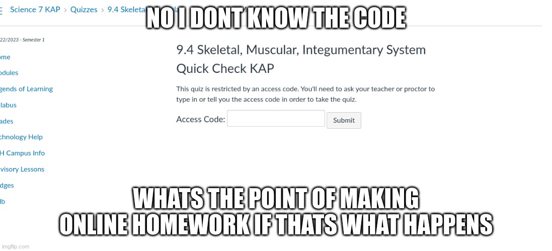 come on bro | NO I DONT KNOW THE CODE; WHATS THE POINT OF MAKING ONLINE HOMEWORK IF THATS WHAT HAPPENS | image tagged in homework | made w/ Imgflip meme maker