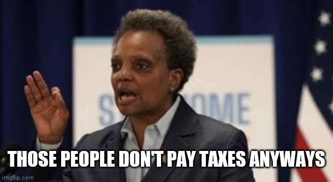 Gangs and the Super Wealthy of Chicago | THOSE PEOPLE DON'T PAY TAXES ANYWAYS | image tagged in lori lightfoot,deathtoll,beetlejuice,beetlejuice 2,back to the future | made w/ Imgflip meme maker