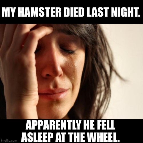 Disaster in Hamsterdam | MY HAMSTER DIED LAST NIGHT. APPARENTLY HE FELL ASLEEP AT THE WHEEL. | image tagged in memes,first world problems | made w/ Imgflip meme maker