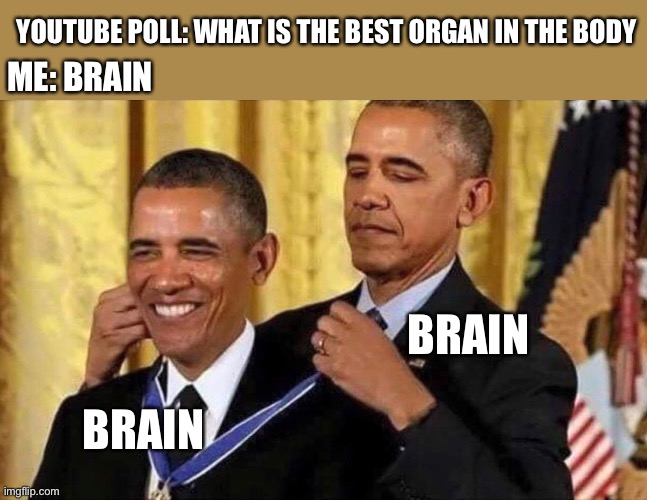 I like brain | YOUTUBE POLL: WHAT IS THE BEST ORGAN IN THE BODY; ME: BRAIN; BRAIN; BRAIN | image tagged in obama medal | made w/ Imgflip meme maker