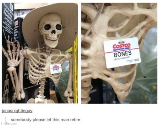 Give him a raise at least | image tagged in skeleton | made w/ Imgflip meme maker