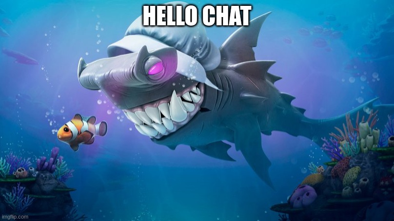 Darkhammer behind Clownfish | HELLO CHAT | image tagged in darkhammer behind clownfish | made w/ Imgflip meme maker