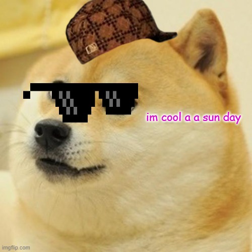 this dog | im cool a a sun day | image tagged in memes,doge | made w/ Imgflip meme maker