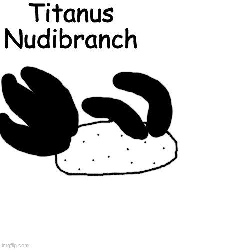 la creatura (lavy's idea) | Titanus Nudibranch | made w/ Imgflip meme maker
