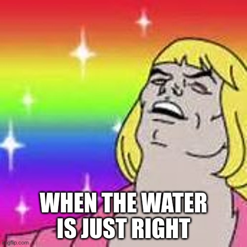 True | WHEN THE WATER IS JUST RIGHT | image tagged in so true memes | made w/ Imgflip meme maker