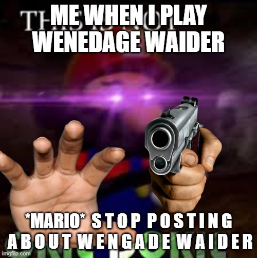 This is not okie dokie | ME WHEN I PLAY WENEDAGE WAIDER; *MARIO*  S T O P  P O S T I N G  A B O U T  W E N G A D E  W A I D E R | image tagged in this is not okie dokie | made w/ Imgflip meme maker
