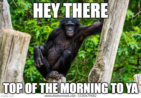 morning | HEY THERE; TOP OF THE MORNING TO YA | image tagged in good morning | made w/ Imgflip meme maker