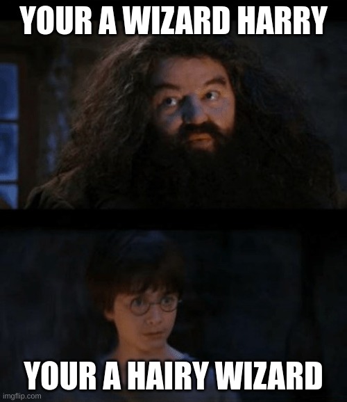 you are a wizard harry | YOUR A WIZARD HARRY; YOUR A HAIRY WIZARD | image tagged in you are a wizard harry | made w/ Imgflip meme maker