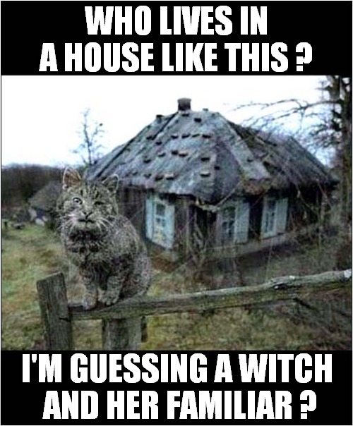 A Spooky Looking Place ! | WHO LIVES IN A HOUSE LIKE THIS ? I'M GUESSING A WITCH
 AND HER FAMILIAR ? | image tagged in cats,witches,spooky | made w/ Imgflip meme maker