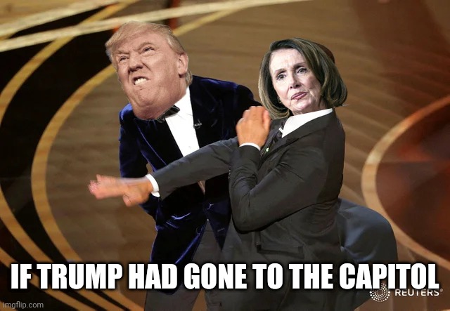 I'd contribute to her legal fund. | IF TRUMP HAD GONE TO THE CAPITOL | image tagged in donald trump,nancy pelosi,bitch slap | made w/ Imgflip meme maker