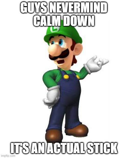 Logic Luigi | GUYS NEVERMIND CALM DOWN IT'S AN ACTUAL STICK | image tagged in logic luigi | made w/ Imgflip meme maker