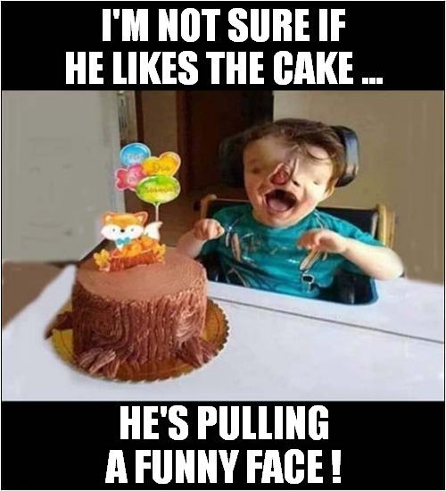 Dark Enough For You ? | I'M NOT SURE IF HE LIKES THE CAKE ... HE'S PULLING A FUNNY FACE ! | image tagged in facial expressions,cake,dark humour | made w/ Imgflip meme maker