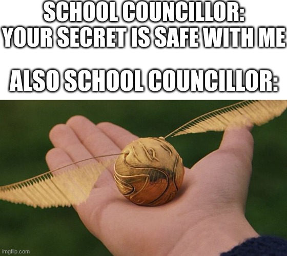proffessional snitch | SCHOOL COUNCILLOR: YOUR SECRET IS SAFE WITH ME; ALSO SCHOOL COUNCILLOR: | image tagged in blank white template,the golden snitch,funny,funny memes,memes,school | made w/ Imgflip meme maker