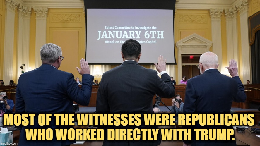 You'll never see Trump testify. Snowflake. | MOST OF THE WITNESSES WERE REPUBLICANS 
WHO WORKED DIRECTLY WITH TRUMP. | image tagged in trump,capitol hill,riot,investigation,republicans | made w/ Imgflip meme maker