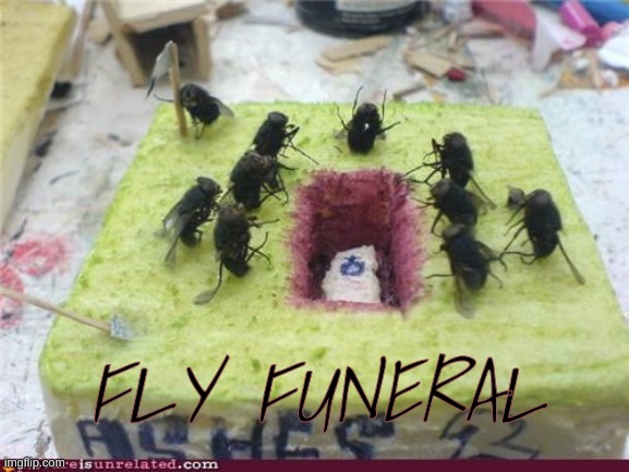 fly funeral | FLY FUNERAL | image tagged in funny,wholesome | made w/ Imgflip meme maker