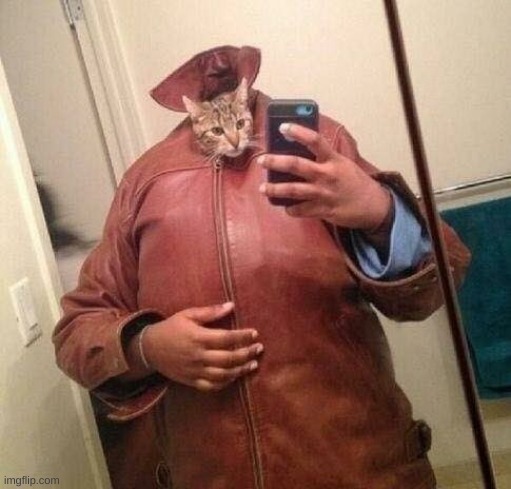 cursed cat | image tagged in cursed cat | made w/ Imgflip meme maker