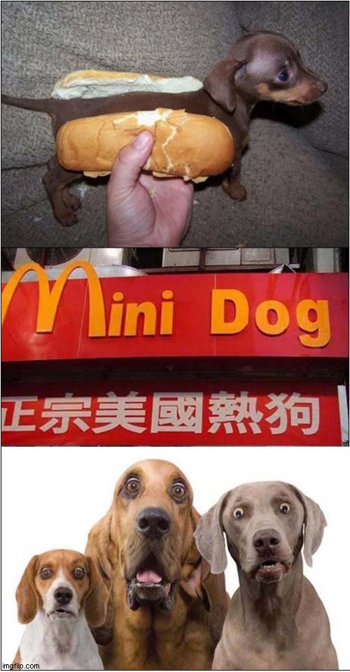 Meanwhile At The Chinese 'McDonalds' ... | image tagged in dogs,chinese food,mcdonalds,dark humour | made w/ Imgflip meme maker