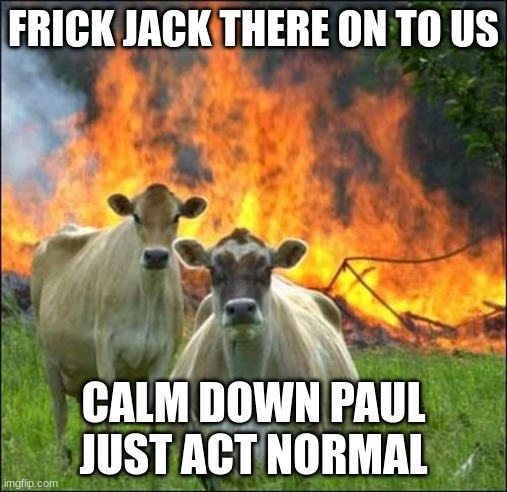 Cow Life | FRICK JACK THERE ON TO US; CALM DOWN PAUL JUST ACT NORMAL | image tagged in memes,evil cows | made w/ Imgflip meme maker