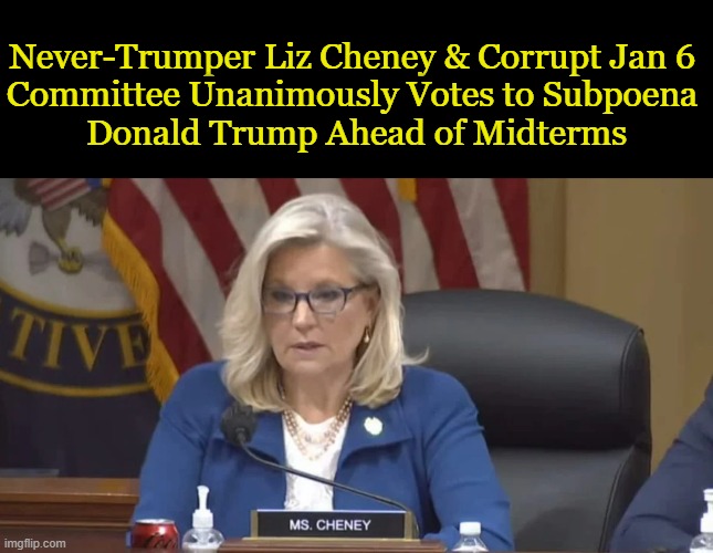 Seven Dems & two RINOs, Voted 'Yes' . . . | Never-Trumper Liz Cheney & Corrupt Jan 6 
Committee Unanimously Votes to Subpoena 
Donald Trump Ahead of Midterms | image tagged in politics,liz cheney,jan 6,democrats,rinos,corrupt | made w/ Imgflip meme maker