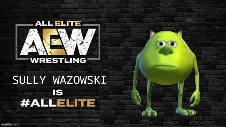fr | SULLY WAZOWSKI | image tagged in all elite wrestling | made w/ Imgflip meme maker
