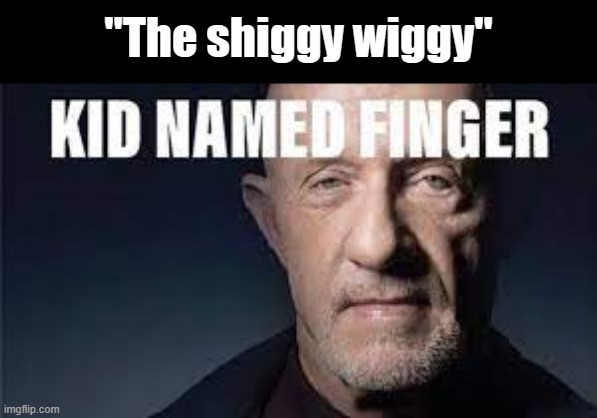 Kid named finger | "The shiggy wiggy" | image tagged in kid named finger | made w/ Imgflip meme maker