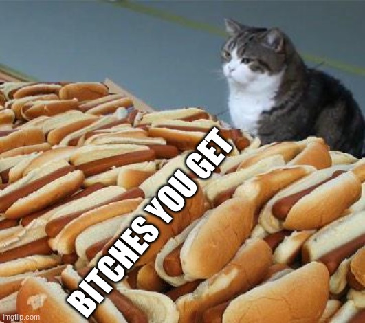 Too many hot dogs | BITCHES YOU GET | image tagged in too many hot dogs | made w/ Imgflip meme maker