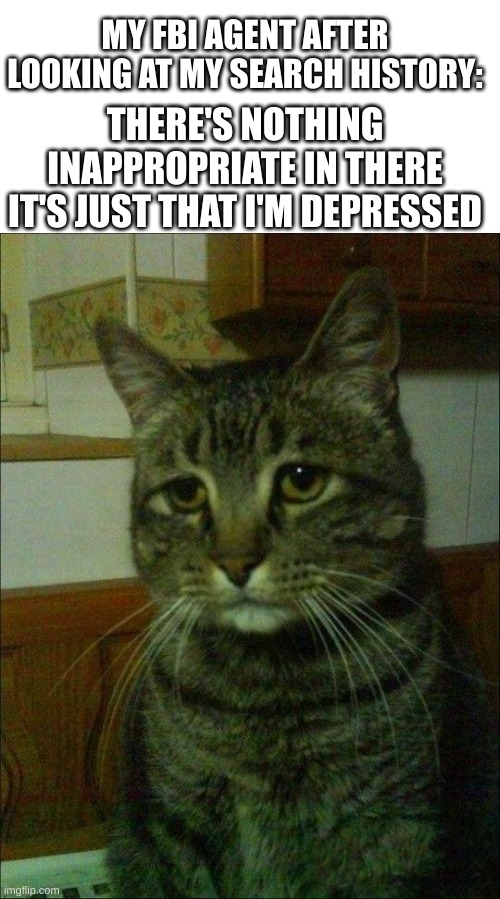 Depressed Cat Meme | MY FBI AGENT AFTER LOOKING AT MY SEARCH HISTORY:; THERE'S NOTHING INAPPROPRIATE IN THERE IT'S JUST THAT I'M DEPRESSED | image tagged in memes,depressed cat,sad,relatable memes,depression | made w/ Imgflip meme maker