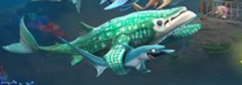 WHALE AND THRESHER HBVFEWJKJL:QEWIJORHUIRNJNR$KL | made w/ Imgflip meme maker