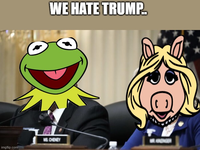 JAN. 6 Clown corp. | WE HATE TRUMP.. | image tagged in democrats | made w/ Imgflip meme maker