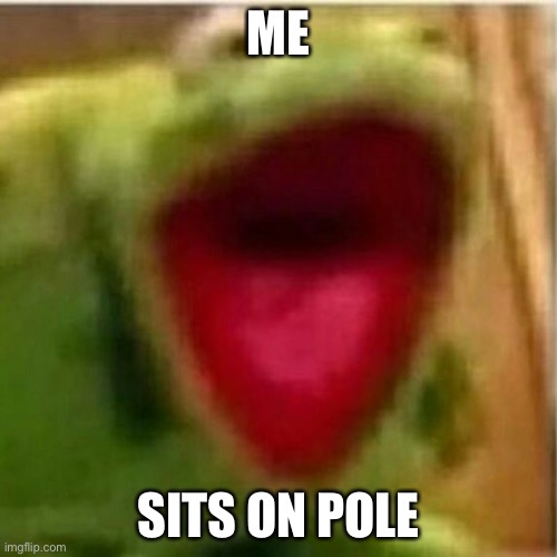 AHHHHHHHHHHHHH | ME; SITS ON POLE | image tagged in ahhhhhhhhhhhhh | made w/ Imgflip meme maker