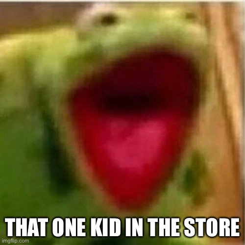 AHHHHHHHHHHHHH | THAT ONE KID IN THE STORE | image tagged in ahhhhhhhhhhhhh | made w/ Imgflip meme maker