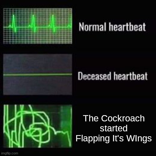 RuN | The Cockroach started Flapping It's WIngs | image tagged in heartbeat rate | made w/ Imgflip meme maker