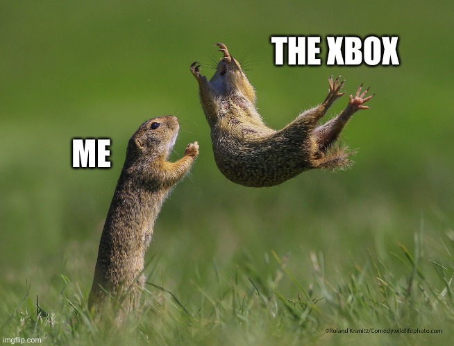 save the xbox | THE XBOX; ME | image tagged in xbox,squirrel | made w/ Imgflip meme maker