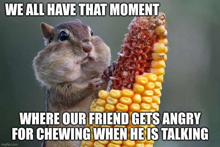 moments in time | WE ALL HAVE THAT MOMENT; WHERE OUR FRIEND GETS ANGRY FOR CHEWING WHEN HE IS TALKING | image tagged in corn,squirrel,bruh moment | made w/ Imgflip meme maker