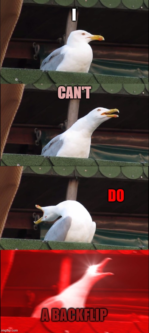 I... Can't... DO... A bAcKfLiP!!111!!!1!!!!11111 | I; CAN'T; DO; A BACKFLIP | image tagged in memes,inhaling seagull | made w/ Imgflip meme maker