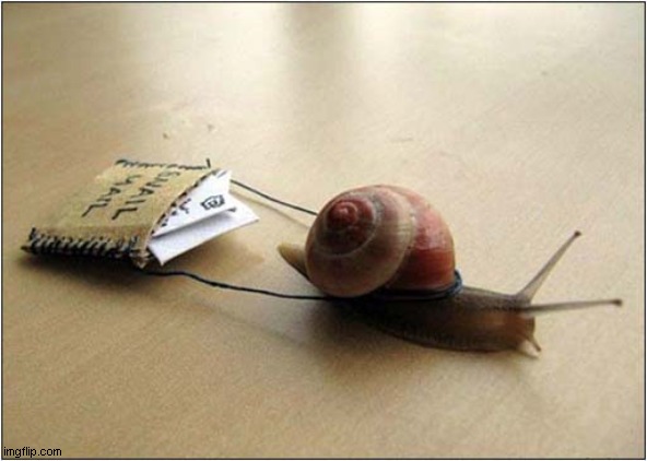 Sometimes I Miss Snail Mail ... But Then I Remembered Email ! | image tagged in nostalgia,snail,mail,email | made w/ Imgflip meme maker