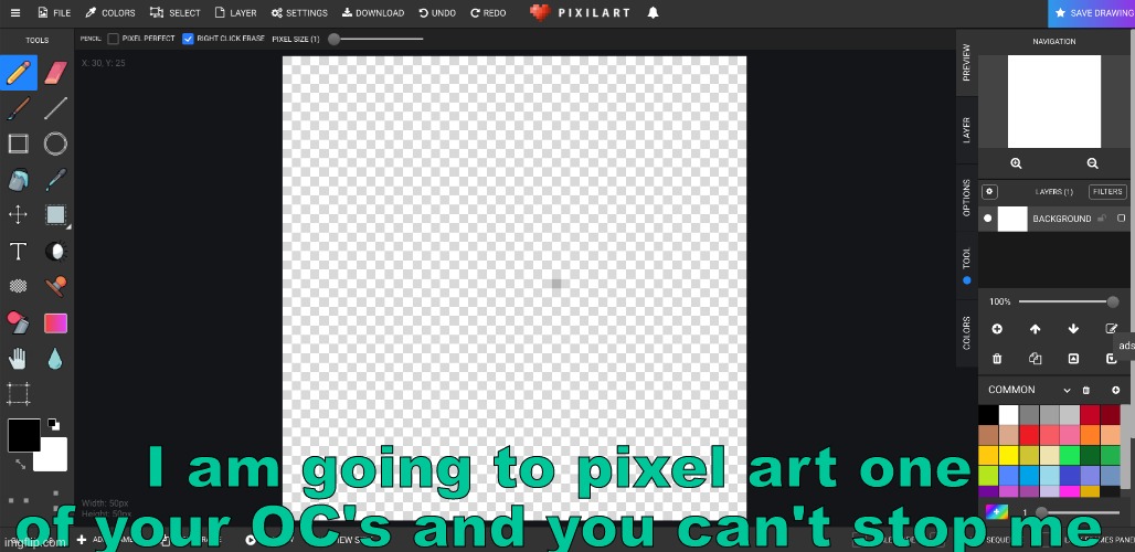 This'll probably end up with me losing motivation to do so but eh | I am going to pixel art one of your OC's and you can't stop me | made w/ Imgflip meme maker