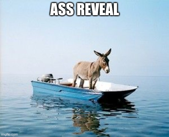yall really thought i'd actually take a picture of my ass | ASS REVEAL | image tagged in donkey on a boat | made w/ Imgflip meme maker
