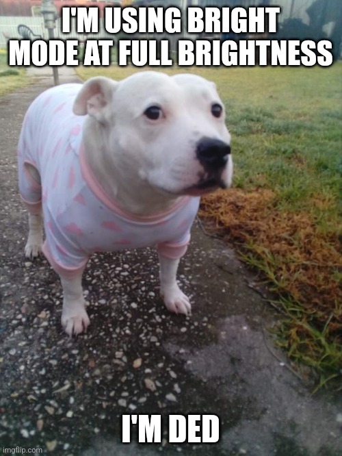 High quality Huh Dog | I'M USING BRIGHT MODE AT FULL BRIGHTNESS; I'M DED | image tagged in high quality huh dog | made w/ Imgflip meme maker