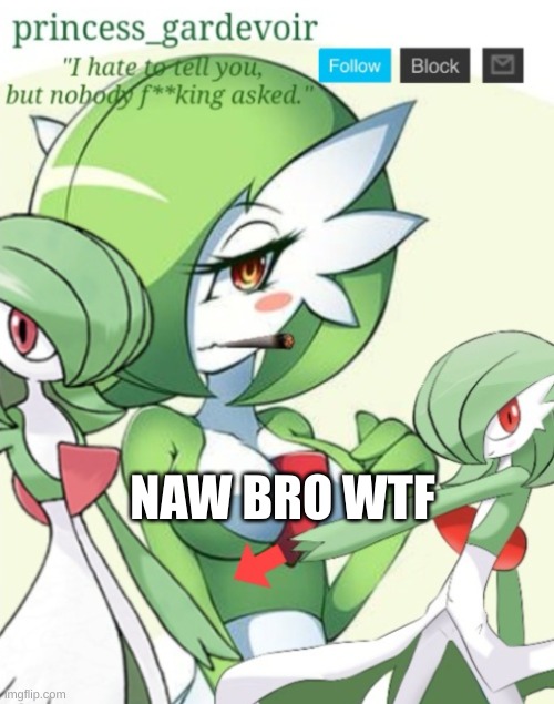 NAW BRO WTF | image tagged in princess' announce temp | made w/ Imgflip meme maker