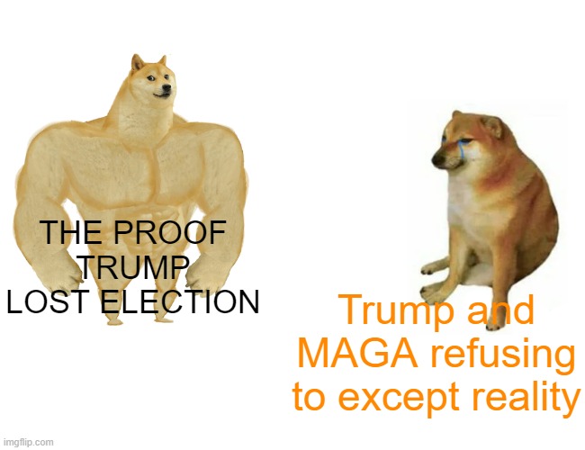 Buff Doge vs. Cheems Meme | THE PROOF TRUMP LOST ELECTION Trump and MAGA refusing to except reality | image tagged in memes,buff doge vs cheems | made w/ Imgflip meme maker