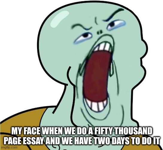 school | MY FACE WHEN WE DO A FIFTY THOUSAND PAGE ESSAY AND WE HAVE TWO DAYS TO DO IT | image tagged in why | made w/ Imgflip meme maker