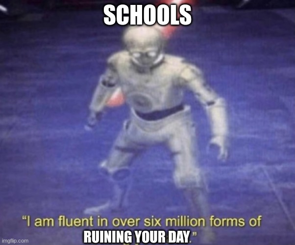 I am fluent in over six million forms of kicking your ass | SCHOOLS; RUINING YOUR DAY | image tagged in i am fluent in over six million forms of kicking your ass | made w/ Imgflip meme maker