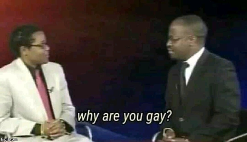 Why are you gay? | image tagged in why are you gay | made w/ Imgflip meme maker